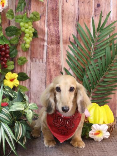 20230830そらくん